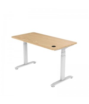 Low price single motor dual motor adjustable computer desk Multifunctional smart Sit To Stand height adjustable desk frame