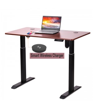 Factory Direct Supply Single Motor Electric Computer Standing Office Desk