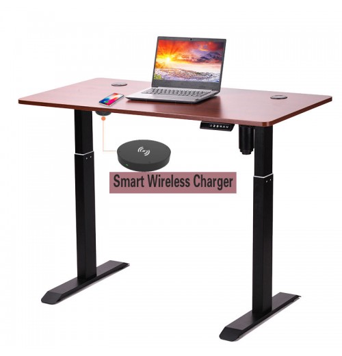 Factory Direct Supply Single Motor Electric Computer Standing Office Desk